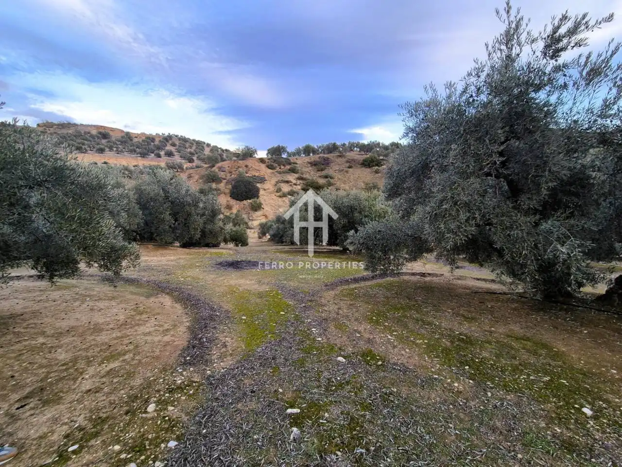 Terreni e lotti in vendita a Huétor Tájar, imagen 28