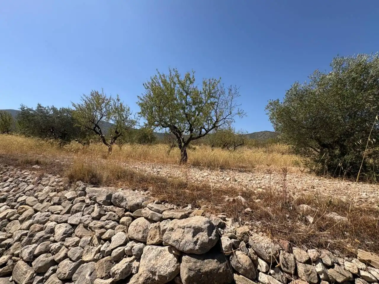 Villa avec jardin à vendre à Castalla, imagen 33