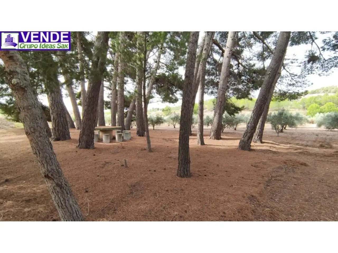 Nave industrial en venta en Sax, imagen 20