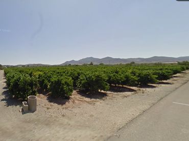 Country house for sale in Huércal-Overa