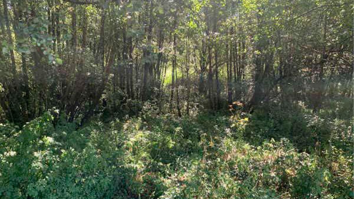 Residential for sale in Boimorto