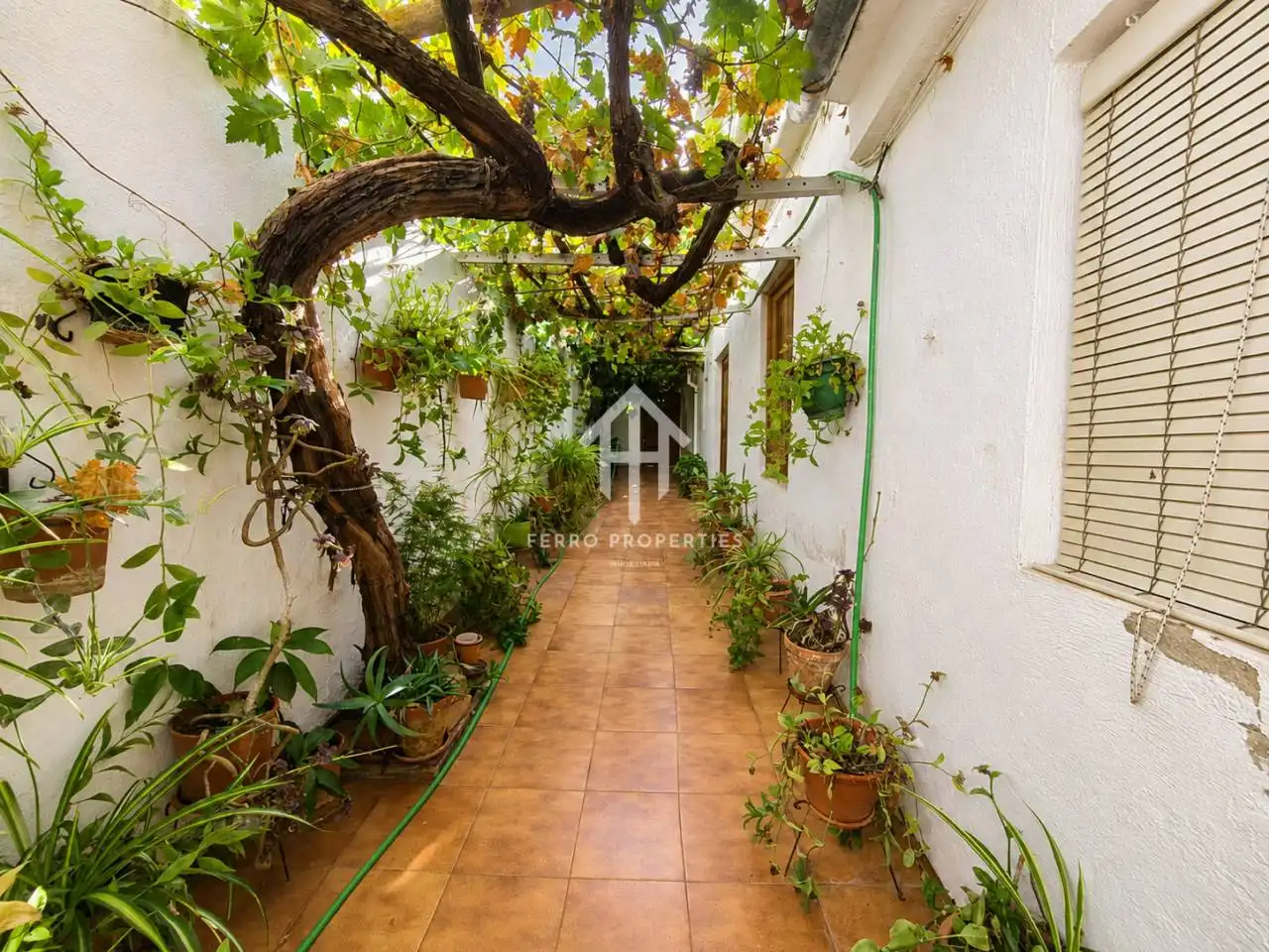 Jardí de Casa o xalet en venda en Priego de Córdoba amb Jardí privat, Terrassa i Moblat