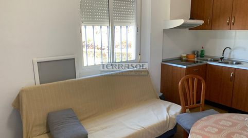 Foto 4 de Finca rústica en venta en Arenas, Málaga