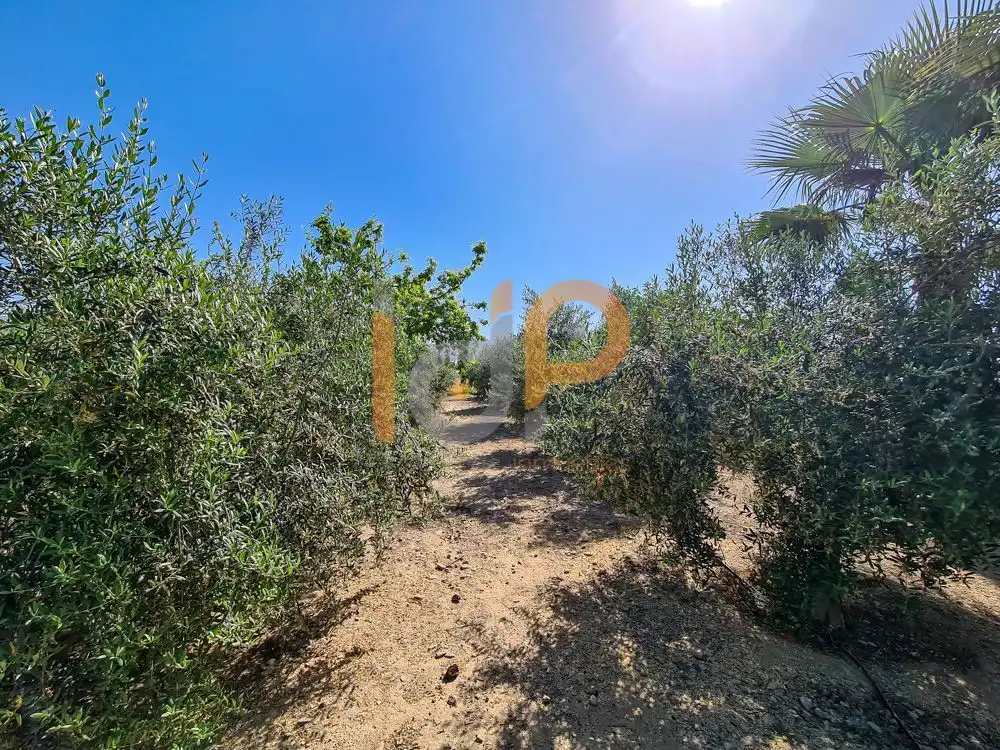 Casa en venta en Huércal-Overa, imagen 39