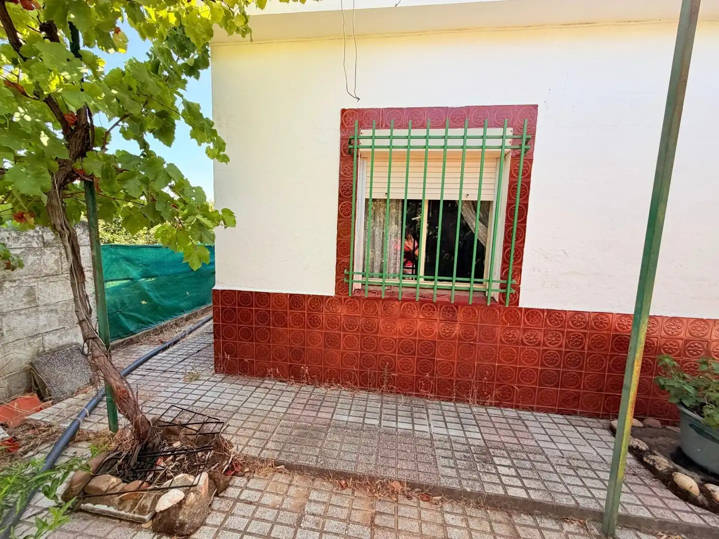Vista exterior de Casa o chalet en venta en Valverde de Mérida con Jardín privado, Terraza y Trastero