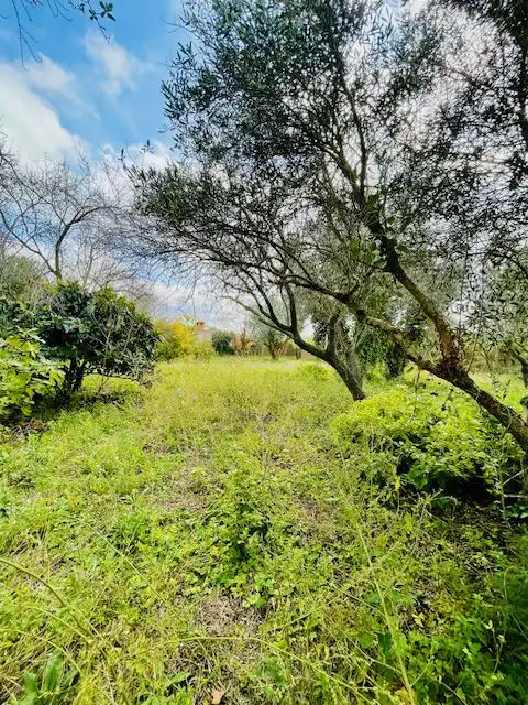 Finca rústica en venda en Torrelles de Foix