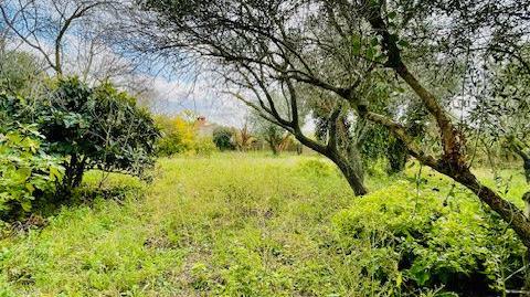 Photo 3 of Country house for sale in Torrelles de Foix, Barcelona