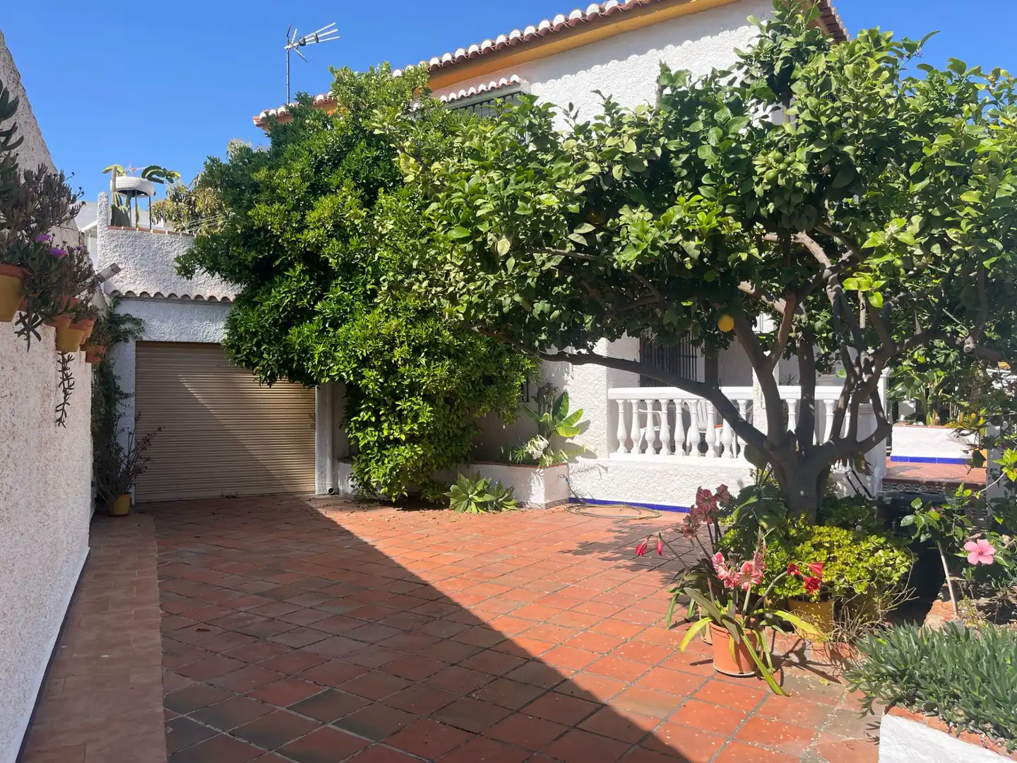 Jardí de Casa o xalet en venda en Torrenueva Costa amb Terrassa
