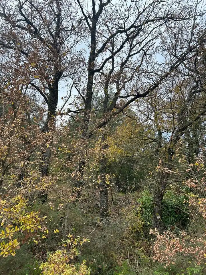 Land for sale in Kuartango