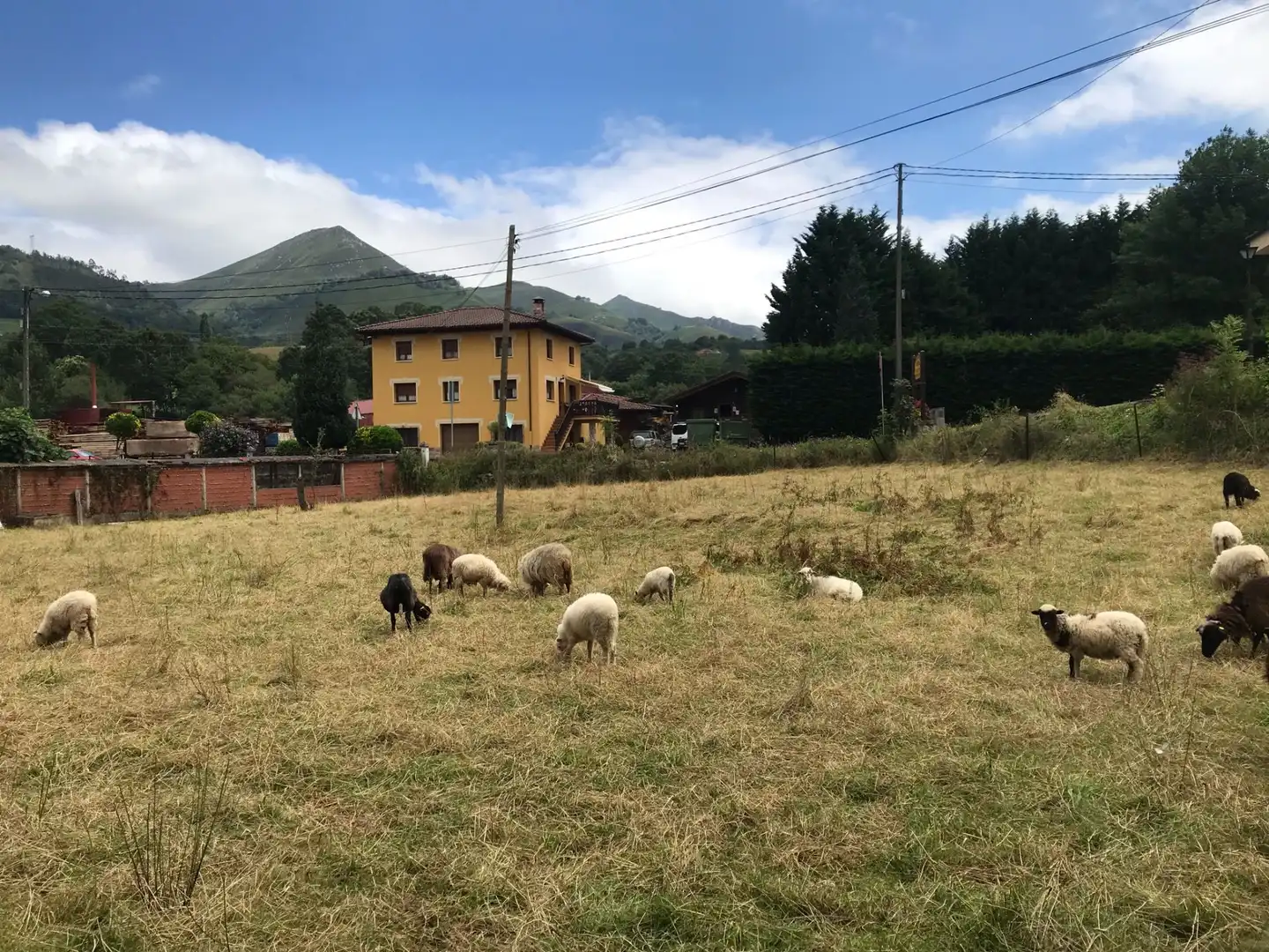 Grundstücke und Bauplätze zum Verkauf in Cangas de Onís