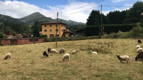 Venta de finca edificable en Mestas de Con