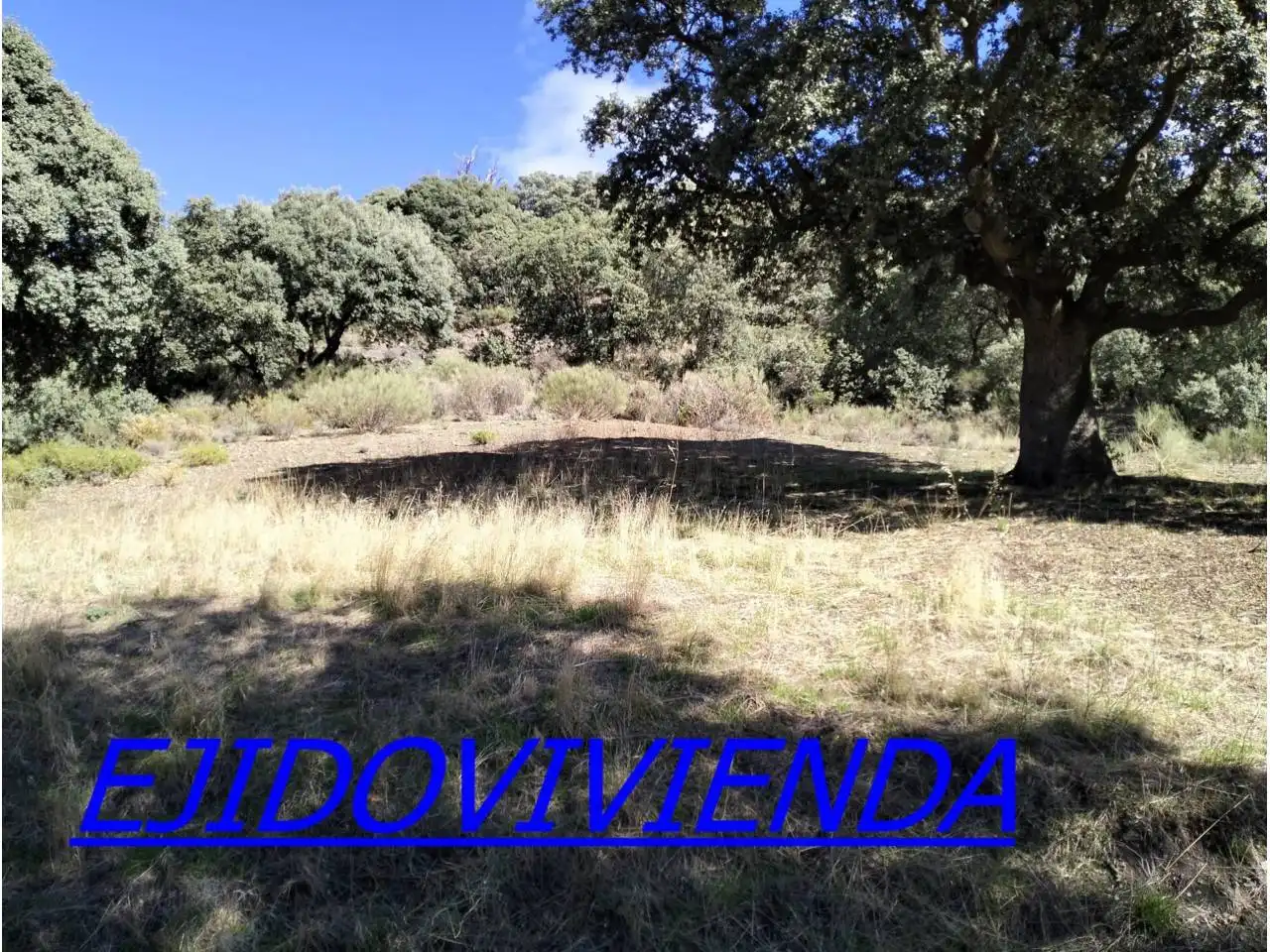 Terreno en venta en Bayárcal