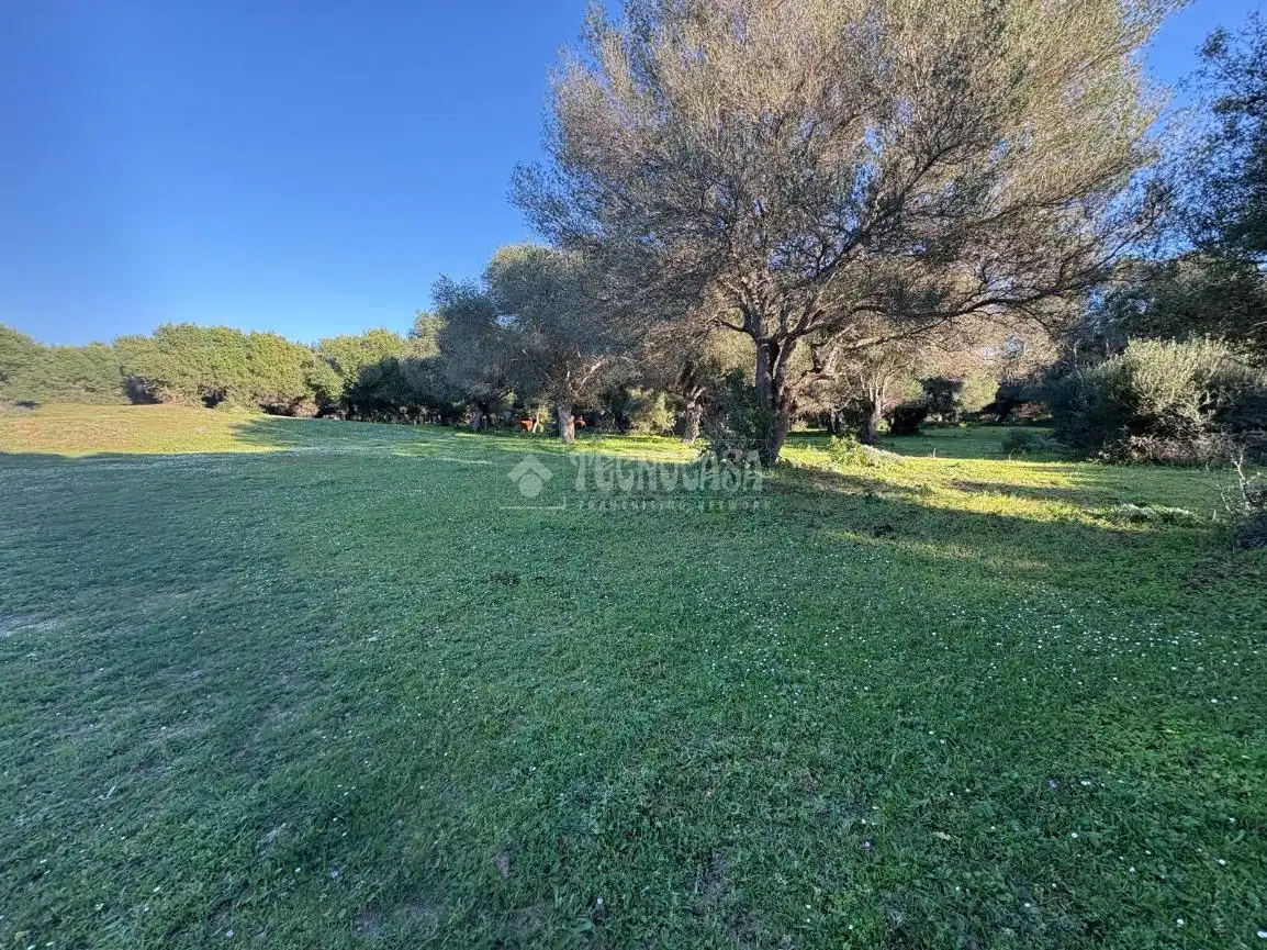 Terreno en venta en Barbate