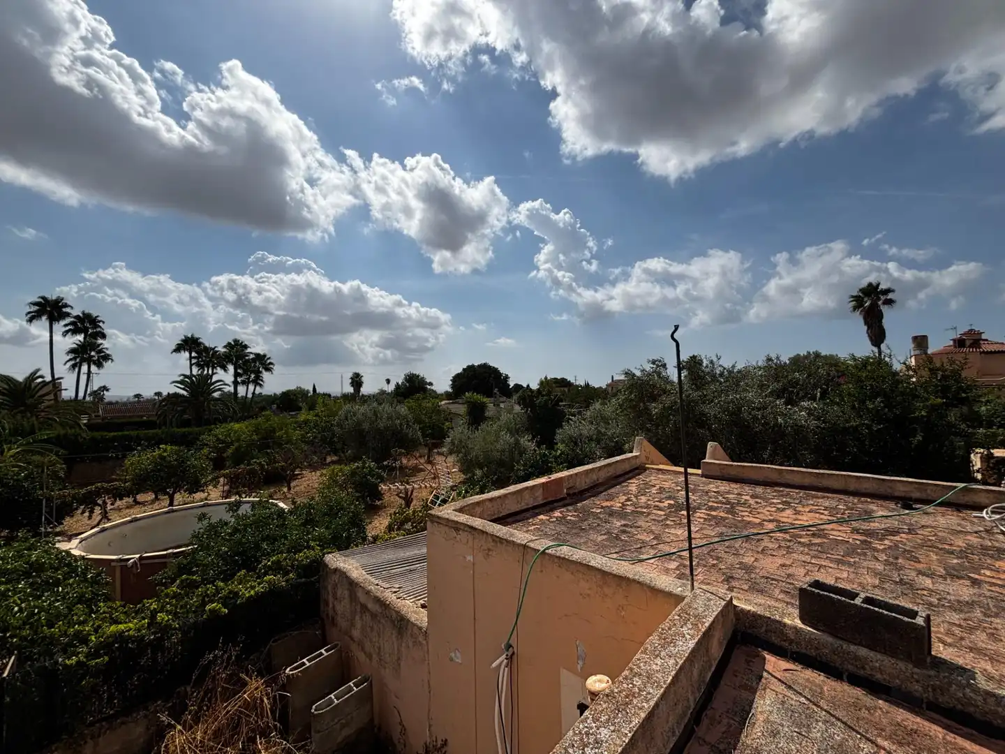 Jardí de Casa o xalet en venda en  Palma de Mallorca amb Jardí privat i Moblat