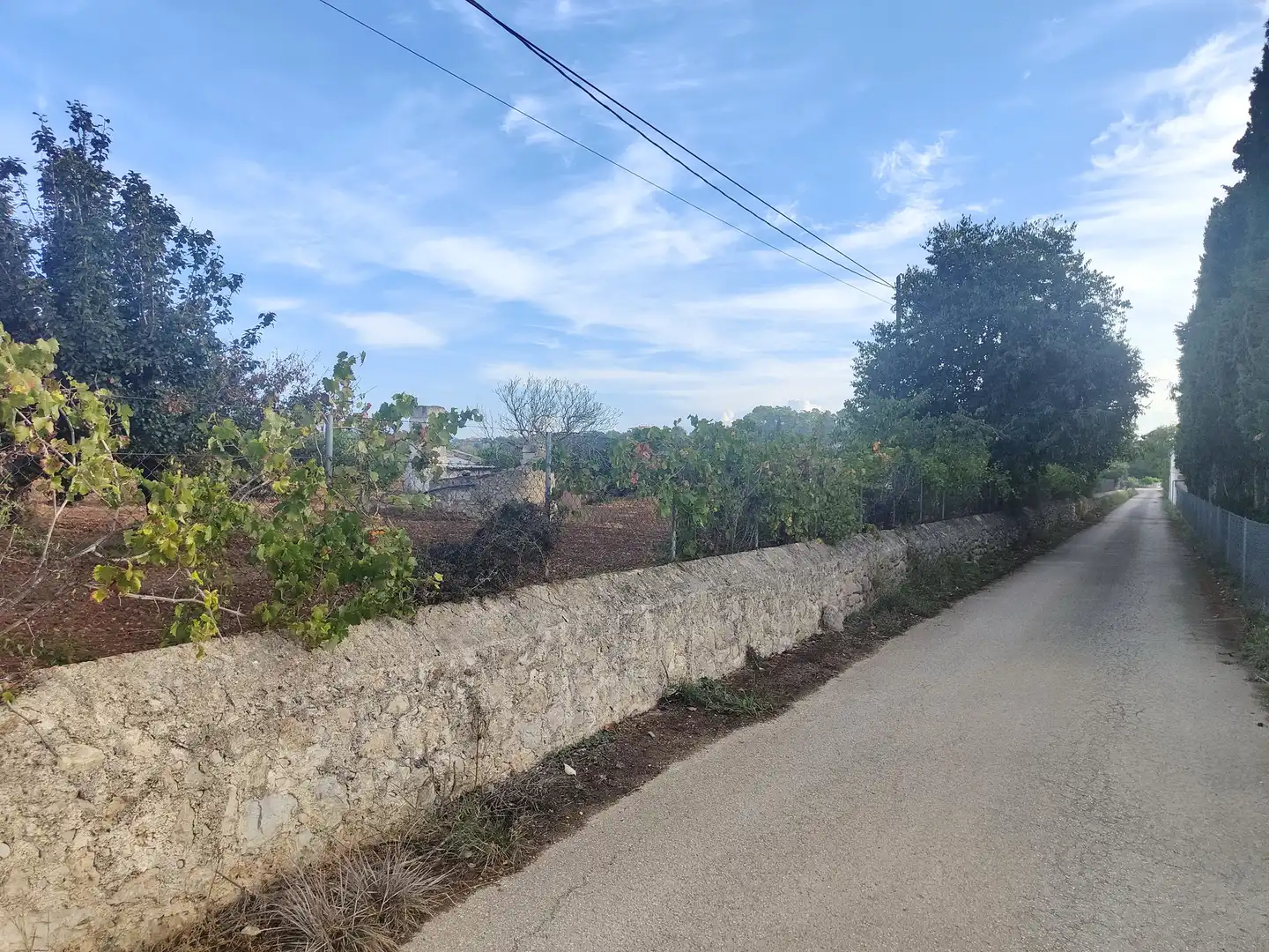 Terrain rustique à vendre à Camí Moscari 26, imagen 18