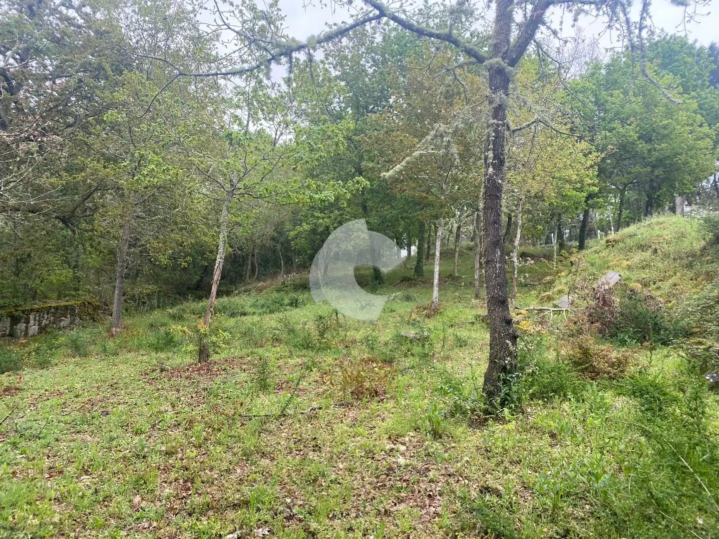 Terreni e lotti in vendita a O Pereiro de Aguiar, imagen 7