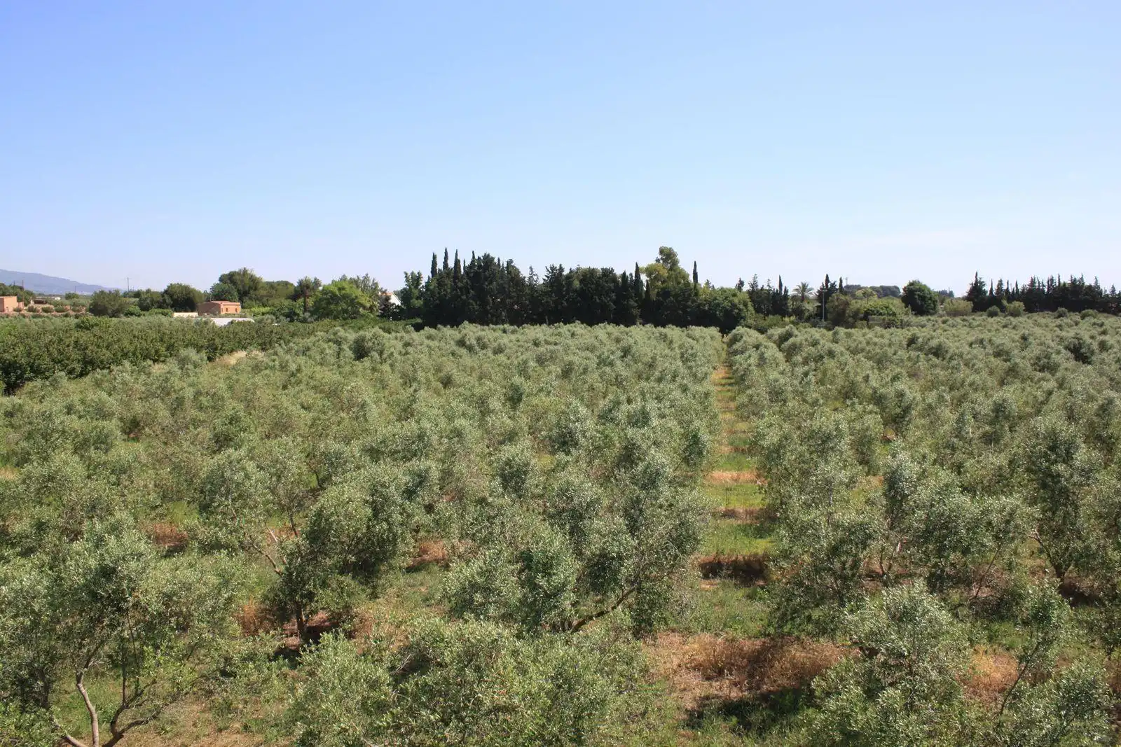 Finca rústica en venda en Riudoms amb Calefacció, Jardí privat i Piscina