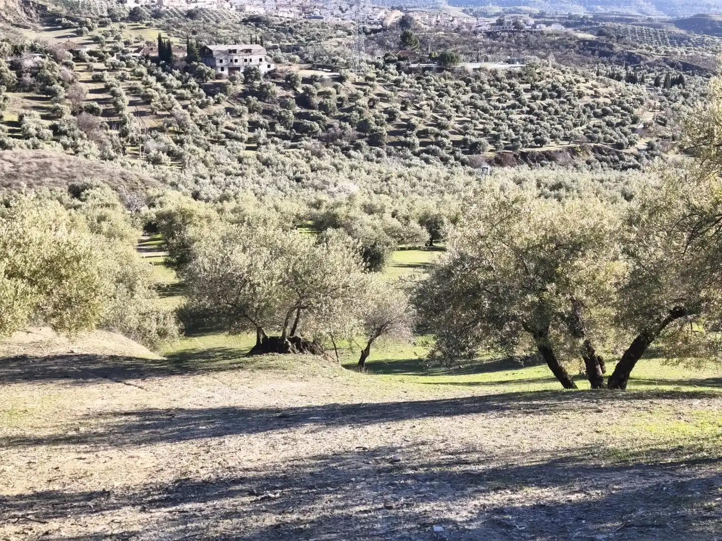 Lands and plots for sale in Alfacar, imagen 16