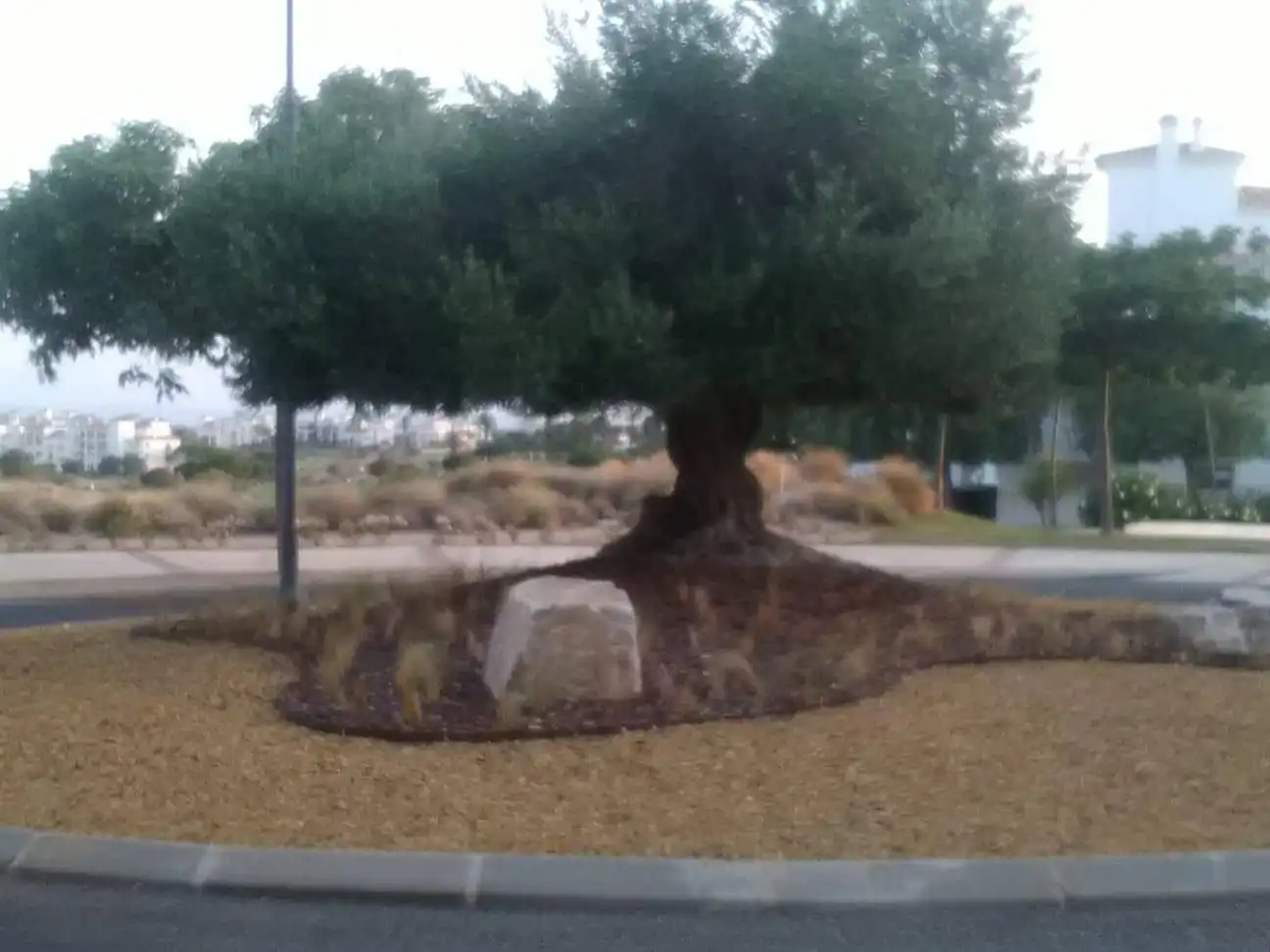 Vista exterior de Apartamento en venta en Murcia con Aire acondicionado, Jardín privado y Terraza