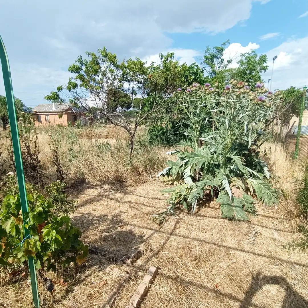 Terreny residencial en venda a Mejorada del Campo, imagen 16