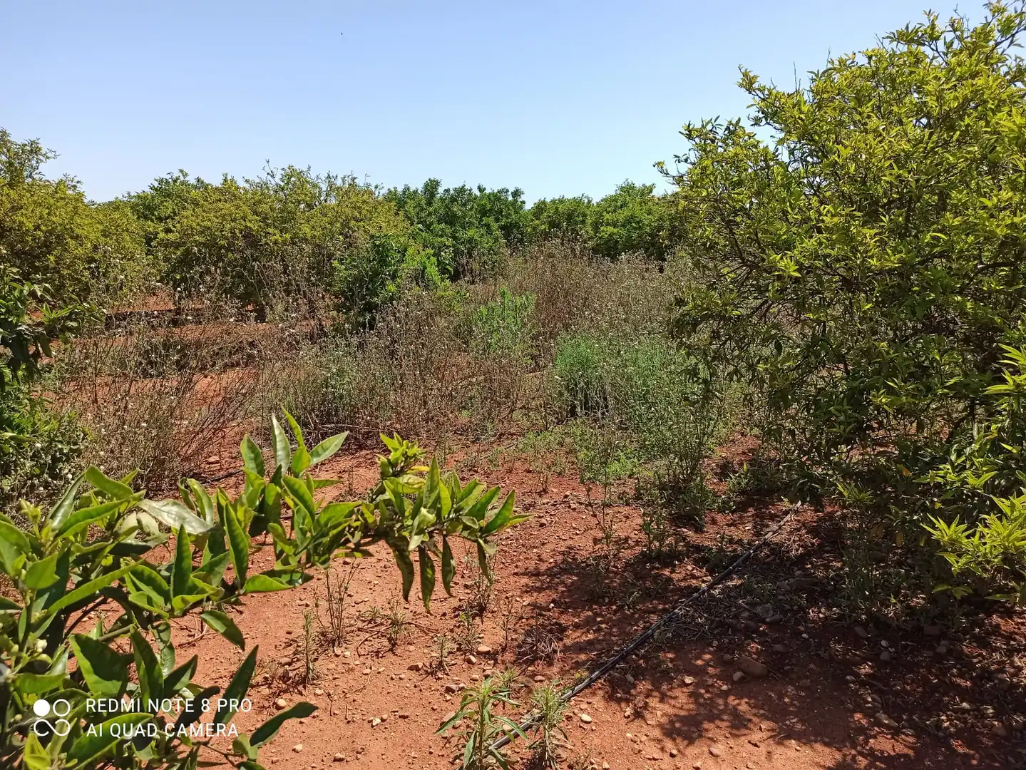 Grundstücke und Bauplätze zum Verkauf in VELL VILA-REAL ONDA, imagen 5
