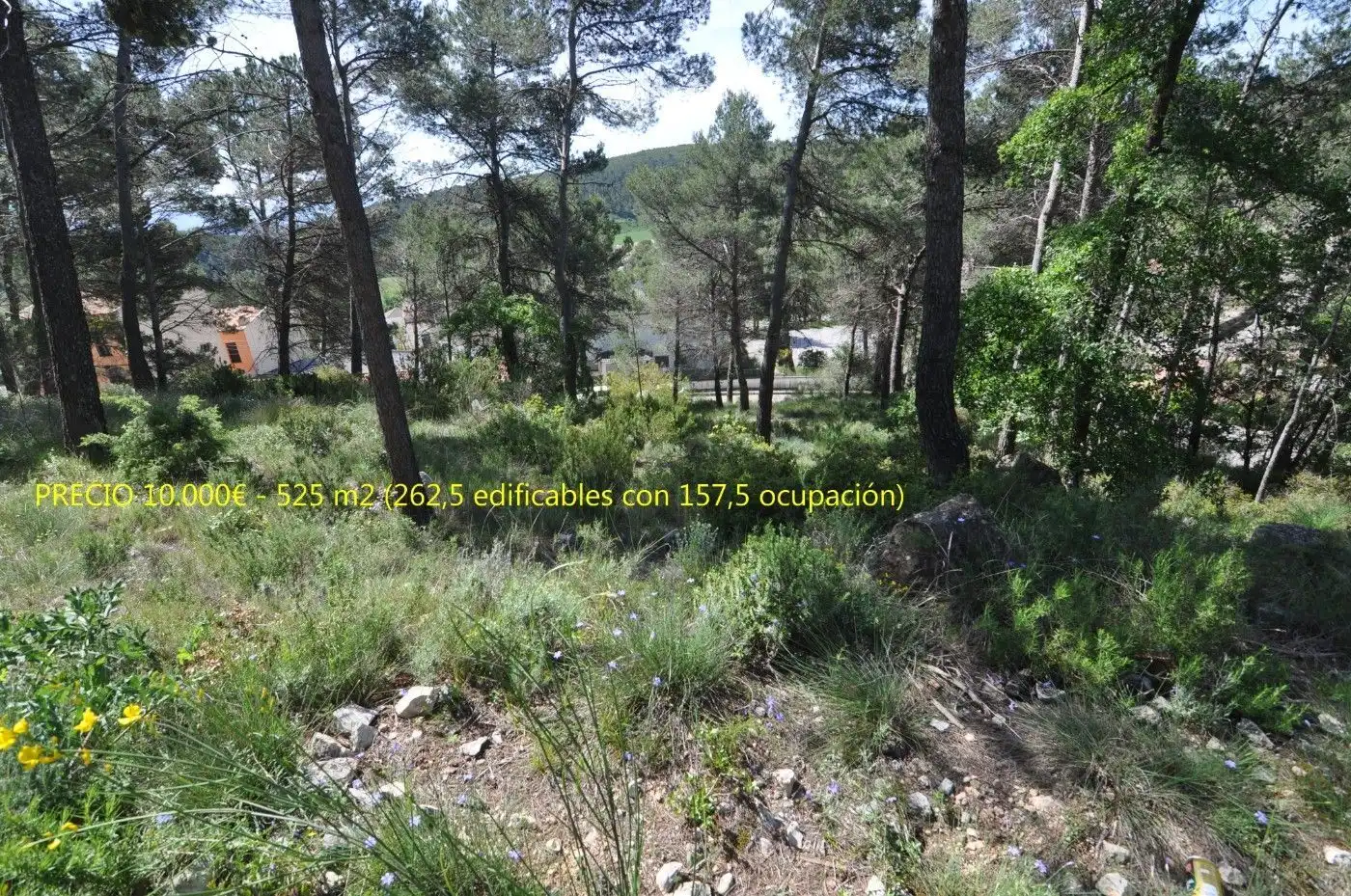 Terreny residencial en venda a Mediona, imagen 7
