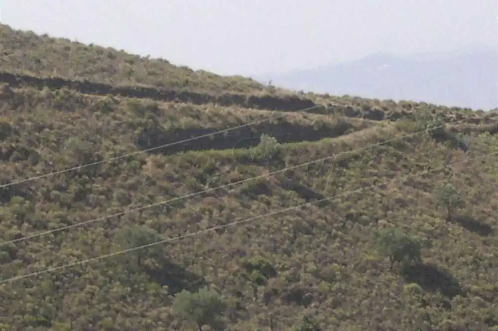 Terreno rústico en venta en Sedella, imagen 6