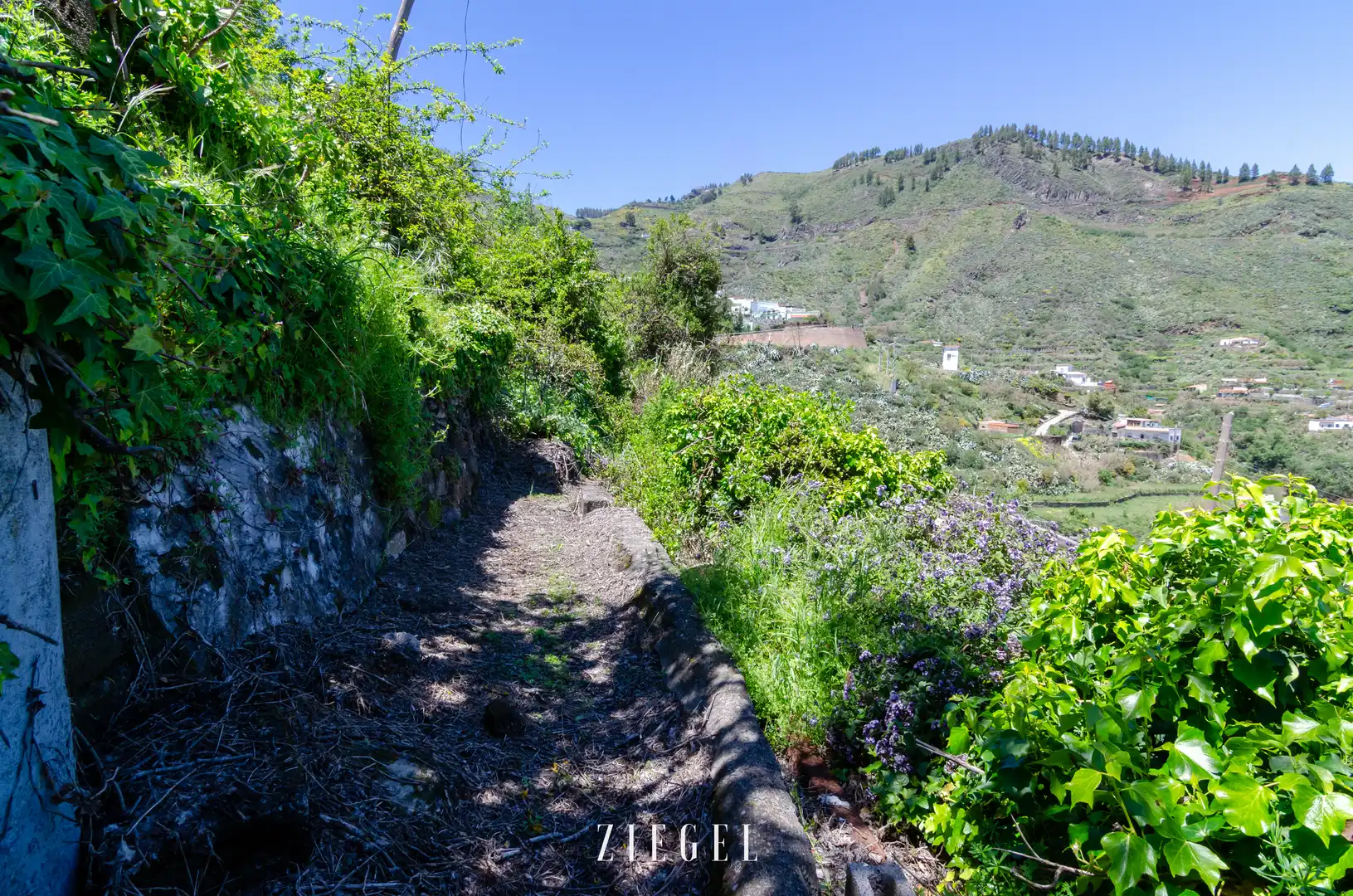 Exterior view of Houses for sale in Vega de San Mateo  with Private garden, Terrace and Storage room
