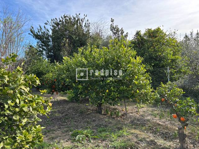 Terreno residencial en Venta en de la Comunidad en Los Dolores