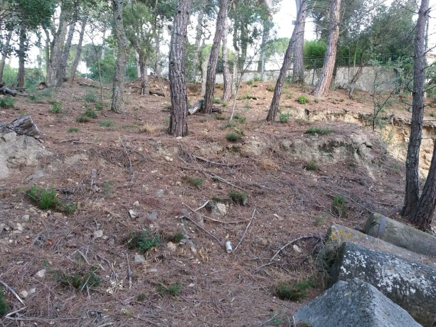 Terreno residencial en venta en Avinguda del Bell-lloc, imagen 7