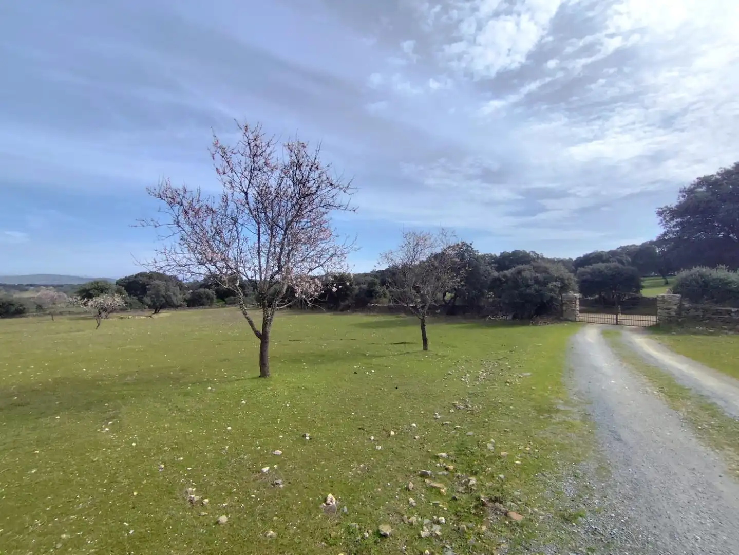Finca rústica en venta en Malpartida de Plasencia con Piscina