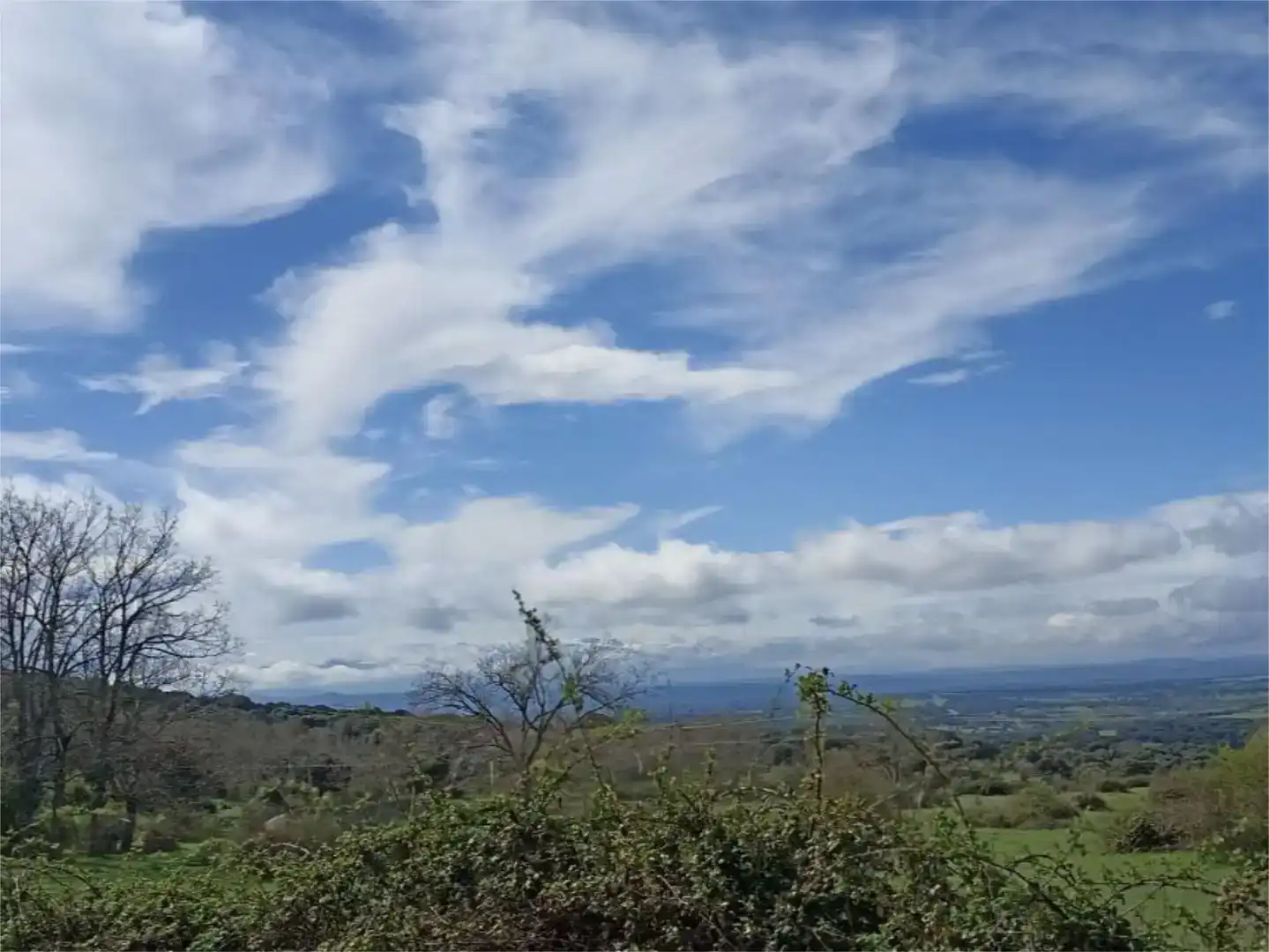 Vista exterior de Planta baja en venta en Membribe de la Sierra con Amueblado