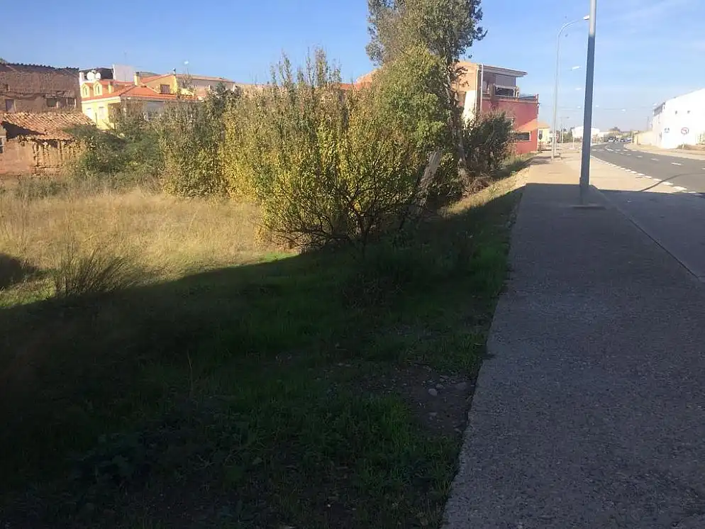 Land for sale in Torrente de Cinca