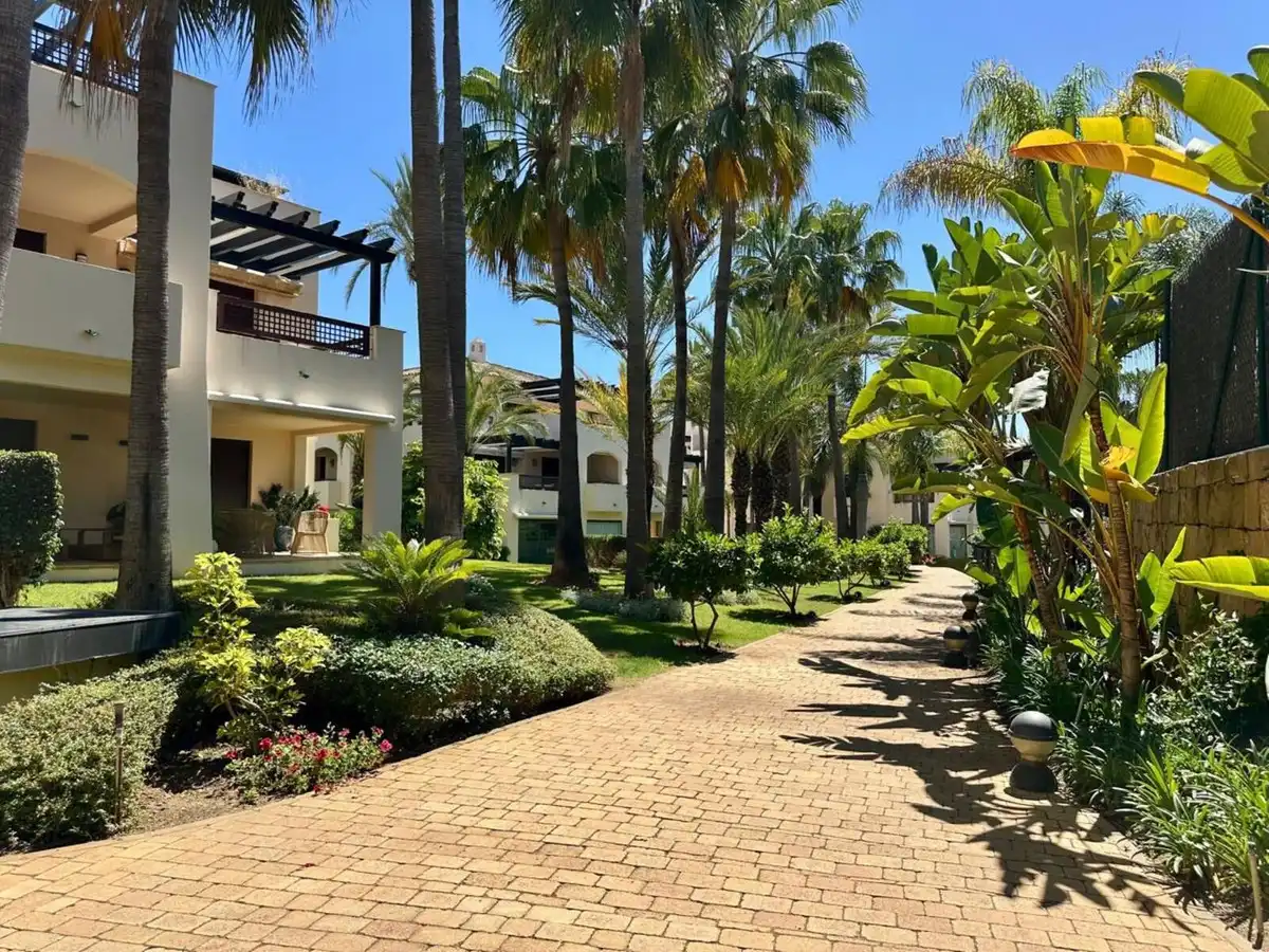 Vista exterior de Dúplex en venda en Marbella amb Aire condicionat, Terrassa i Traster
