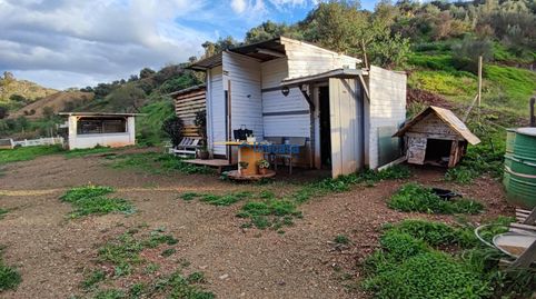 TERRENO RURAL DE 3.000M2  EN CORTIJUELO, MÁLAGA., imatge 4