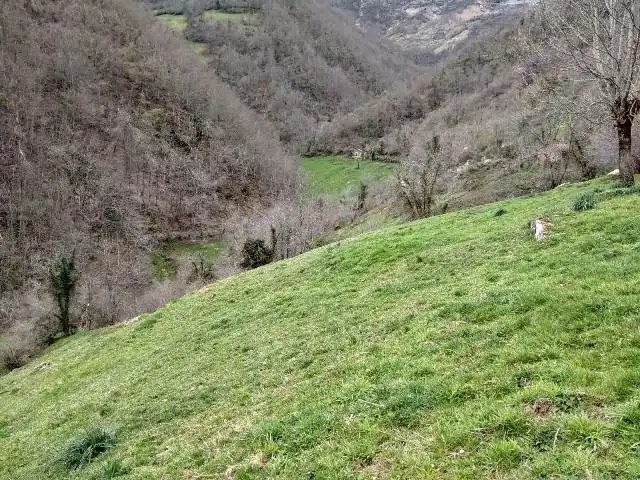 Terreno en venta en Quirós