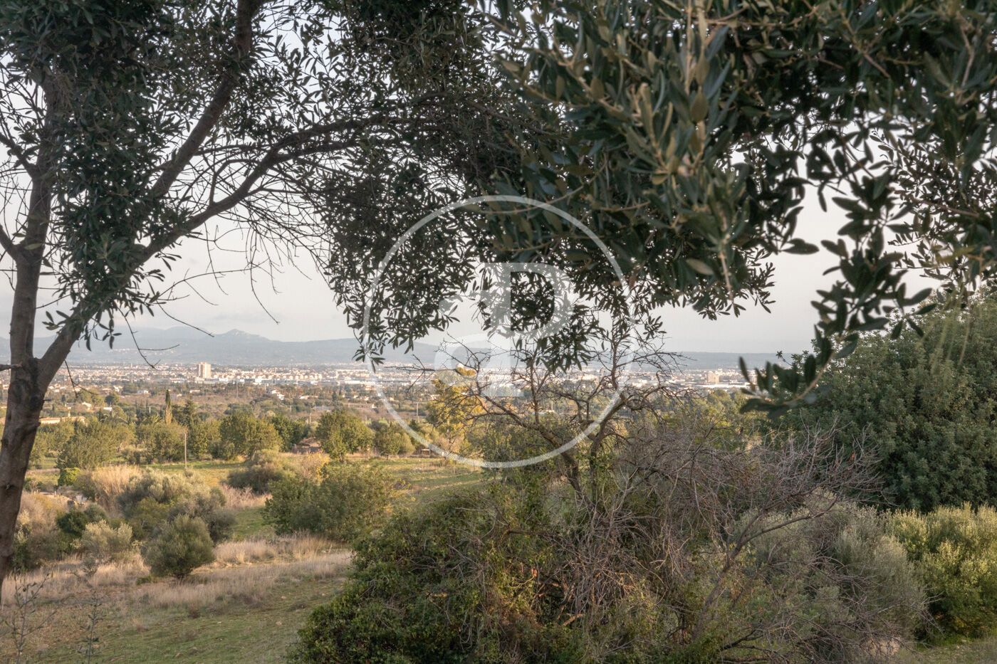 Casa o chalet en venta en  Palma de Mallorca con Calefacción, Jardín privado y Terraza