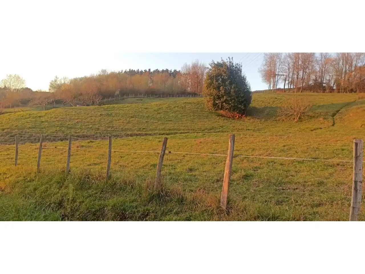 Wohnung zum Verkauf in Amorebieta-Etxano, imagen 2