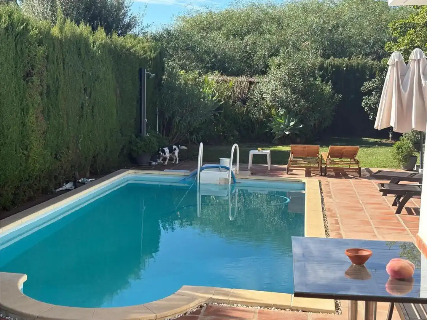 Swimming pool of Houses for sale in Marbella  with Private garden, Storage room and Swimming Pool