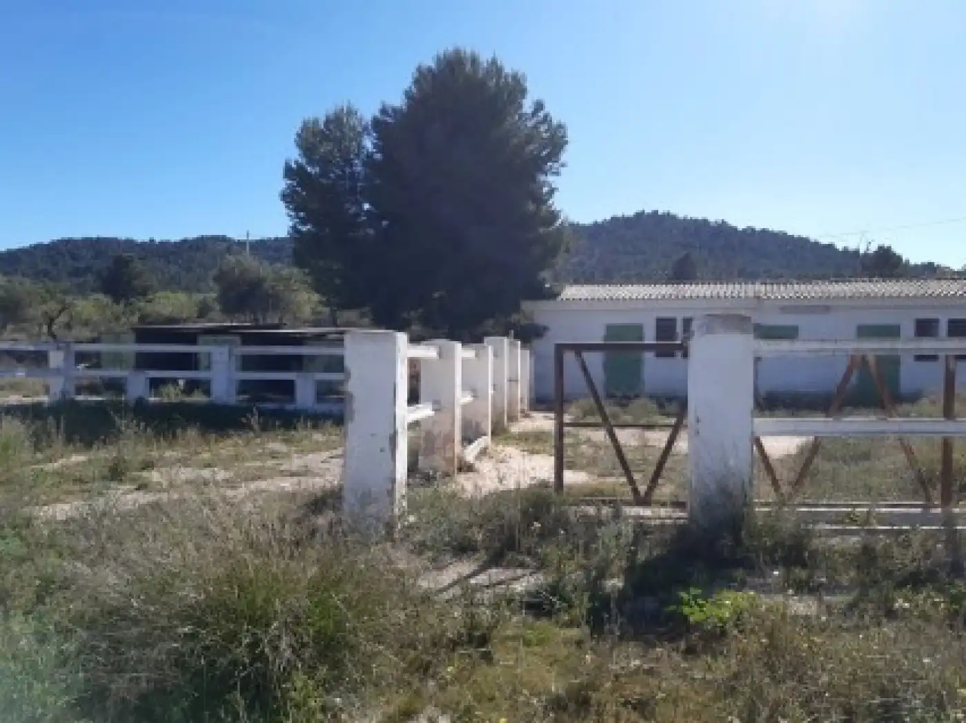 Xalet amb piscina en venda a Monóvar  / Monòver, imagen 54