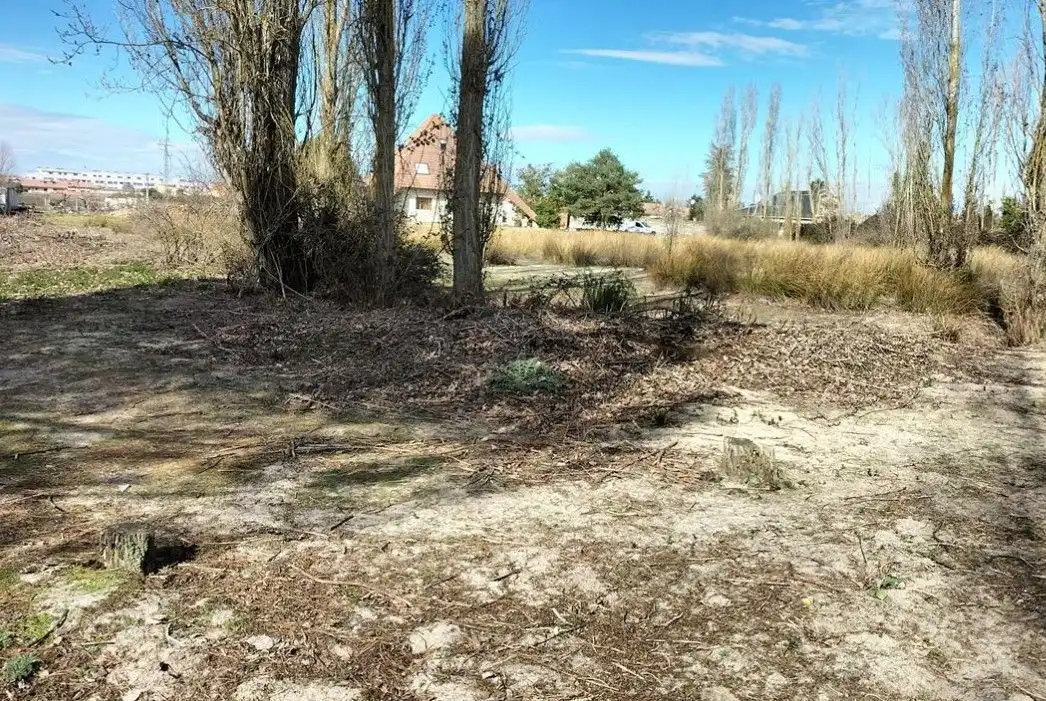 Lands and plots for sale in Calle Paloma, Sector 9 La Estación, imagen 9
