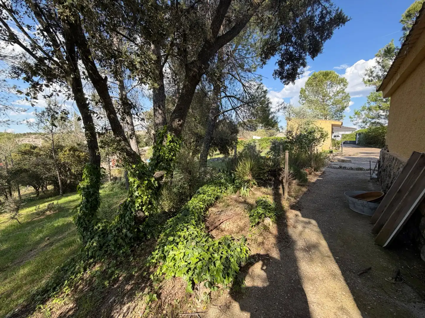Vista exterior de Finca rústica en venta en Almoguera con Jardín privado y Piscina