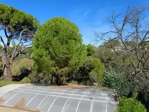 Chalet con piscina en venta en El Bosque, imagen 45