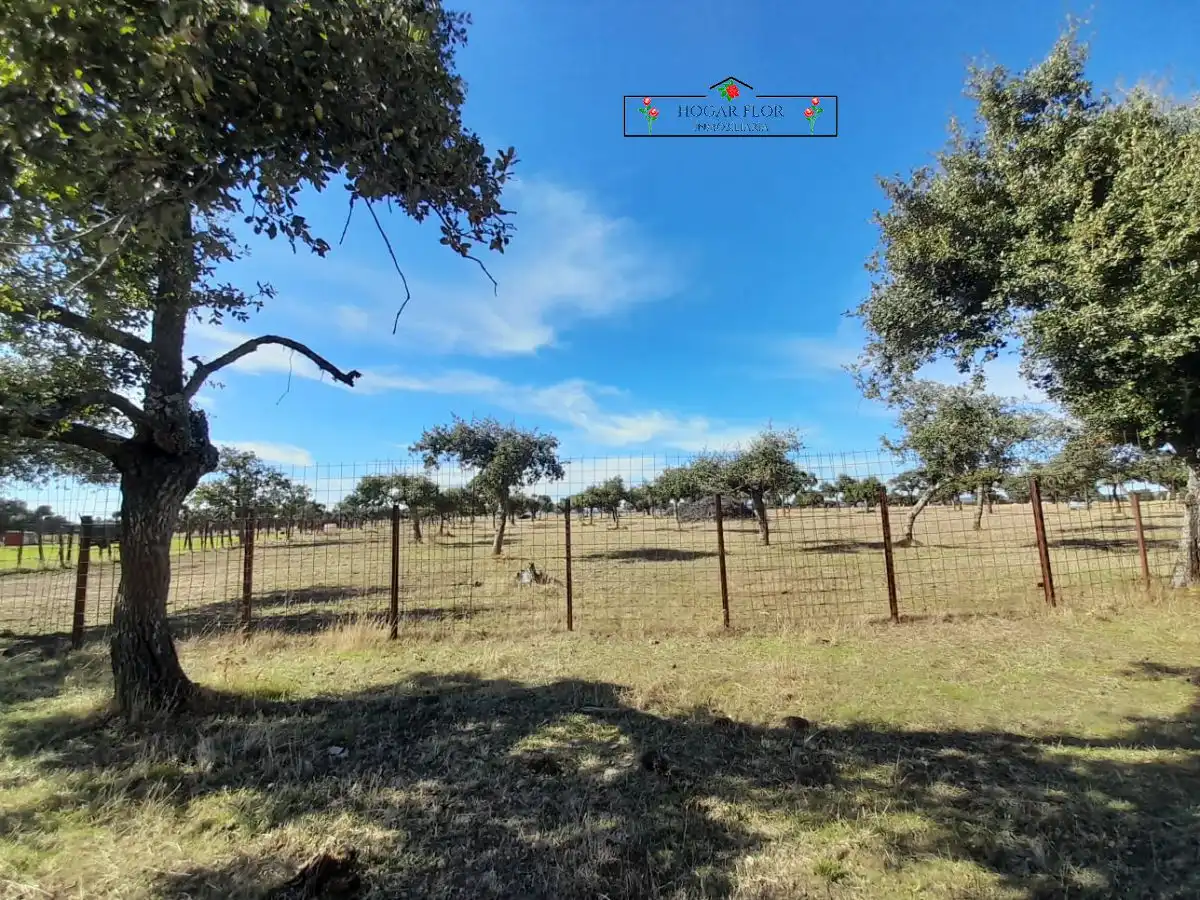 Finca rústica en venta en Carrascal del Obispo