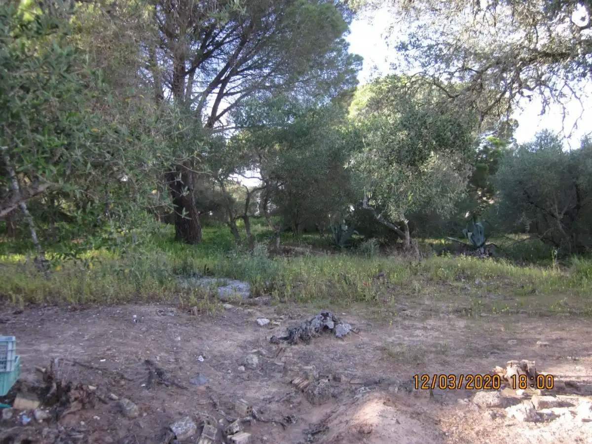 Casa rústica en venda a Barbate ciudad, imagen 8