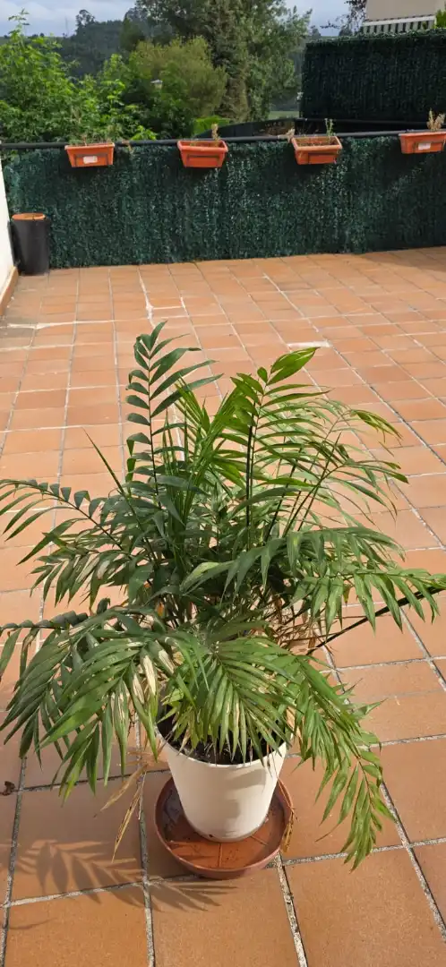 Ground floor for sale in Meruelo