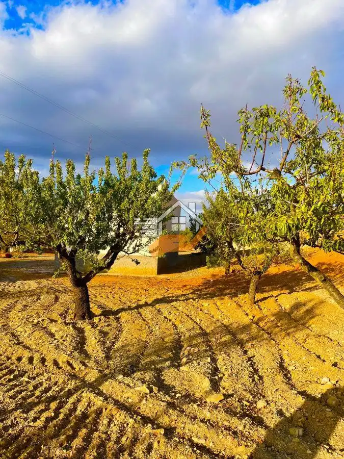 Residential land for sale in Vélez-Rubio, imagen 7