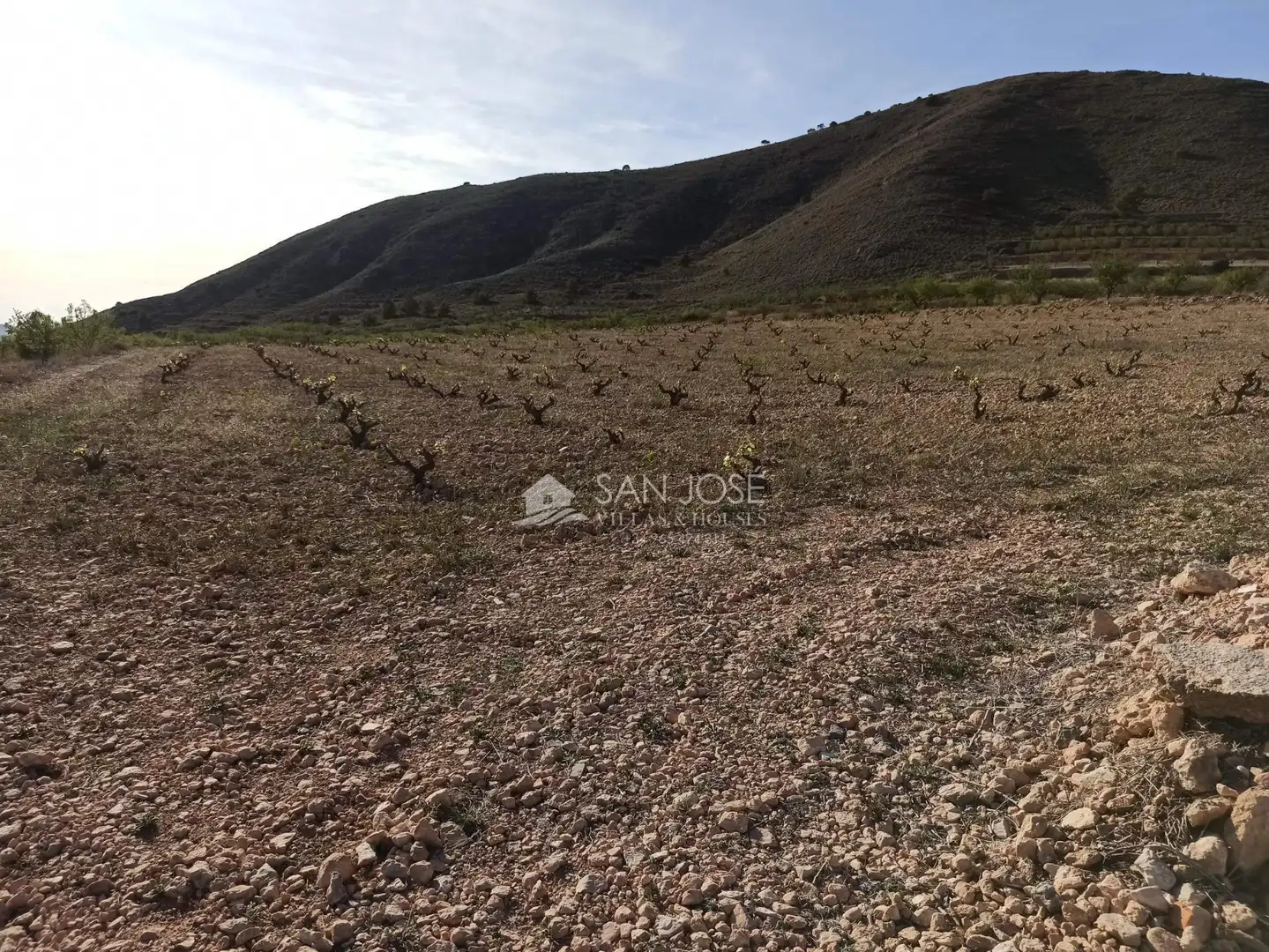 Terrain rustique à vendre à Algueña, imagen 9