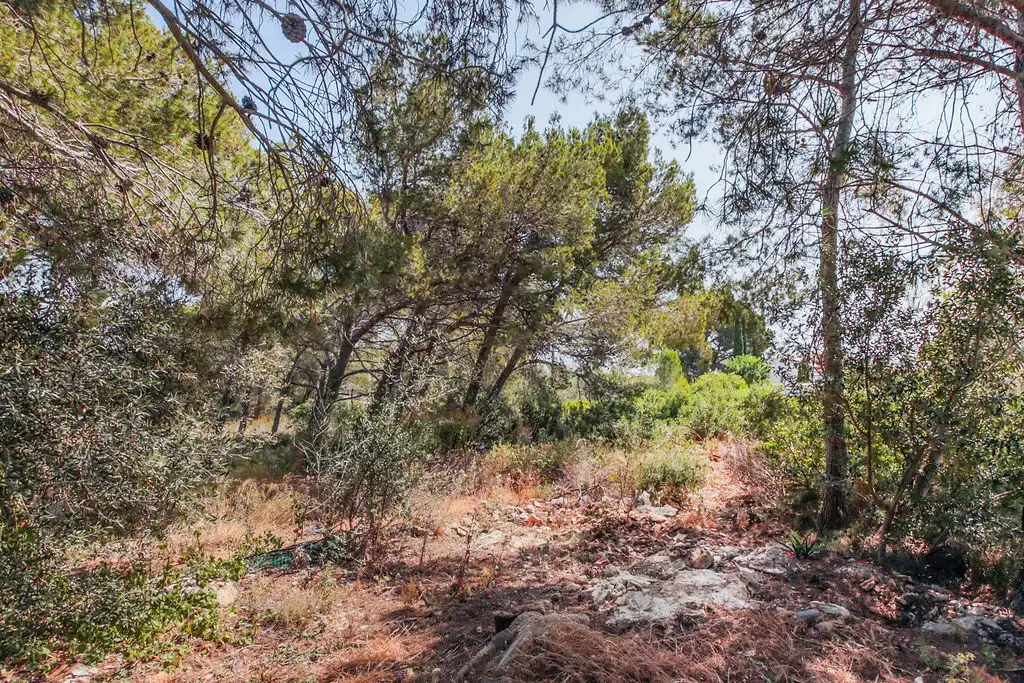 Terreno en venta en L'Ametlla de Mar 