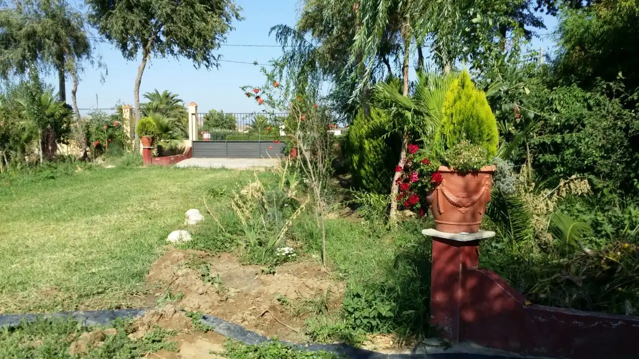 Chalet con piscina en venta en Villanueva de la Serena, imagen 6